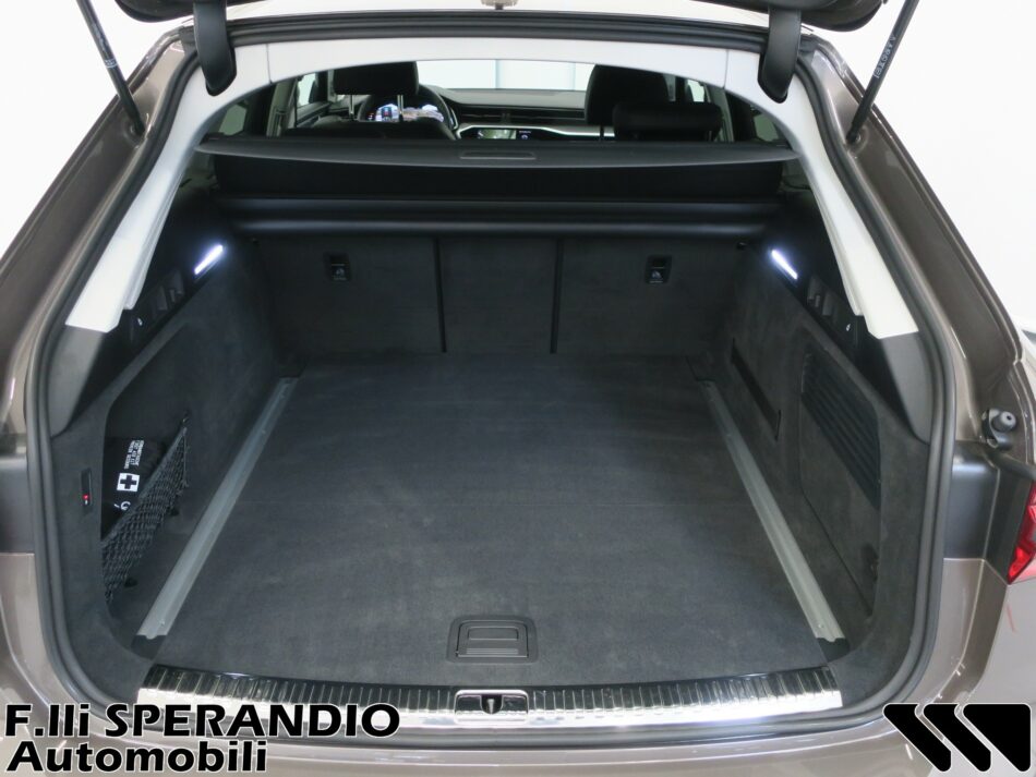 AUDI A6 ALLROAD 45TDI QUATTRO EVOLUTION S-TRONIC 245CV-Array