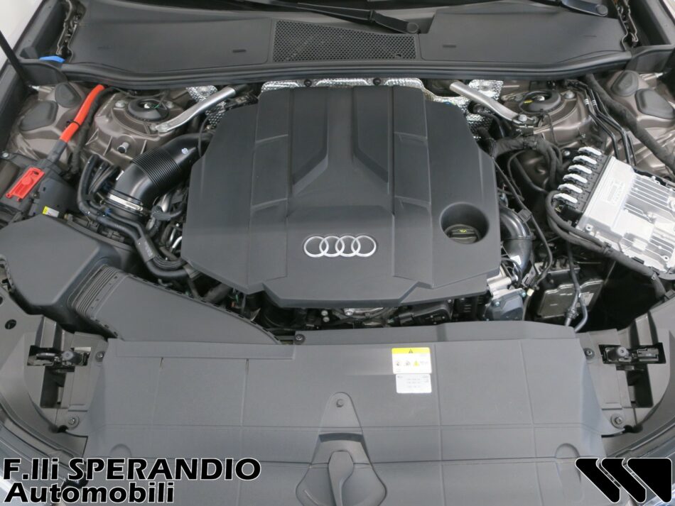 AUDI A6 ALLROAD 45TDI QUATTRO EVOLUTION S-TRONIC 245CV-Array